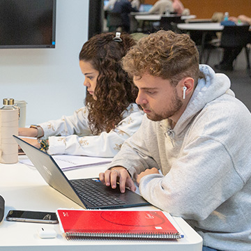 Degree in Economics + Data Analytics